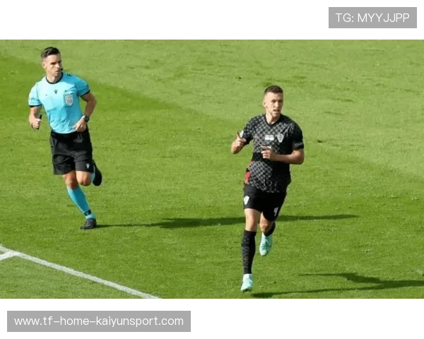 欧洲杯VAR判罚引起争议，专家热议判决尺度，欧洲杯vr裁判