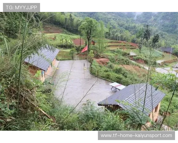 世界登山青年导师生态修复项目第75批结项成果发布,国际登山联合会 世界登山青年导师生态修复项目第75批结项成果发布,国际登山联合会